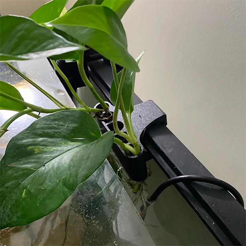 Hanging Aquarium Plant Holder  - Emersed Plants Aquarium recension och pris