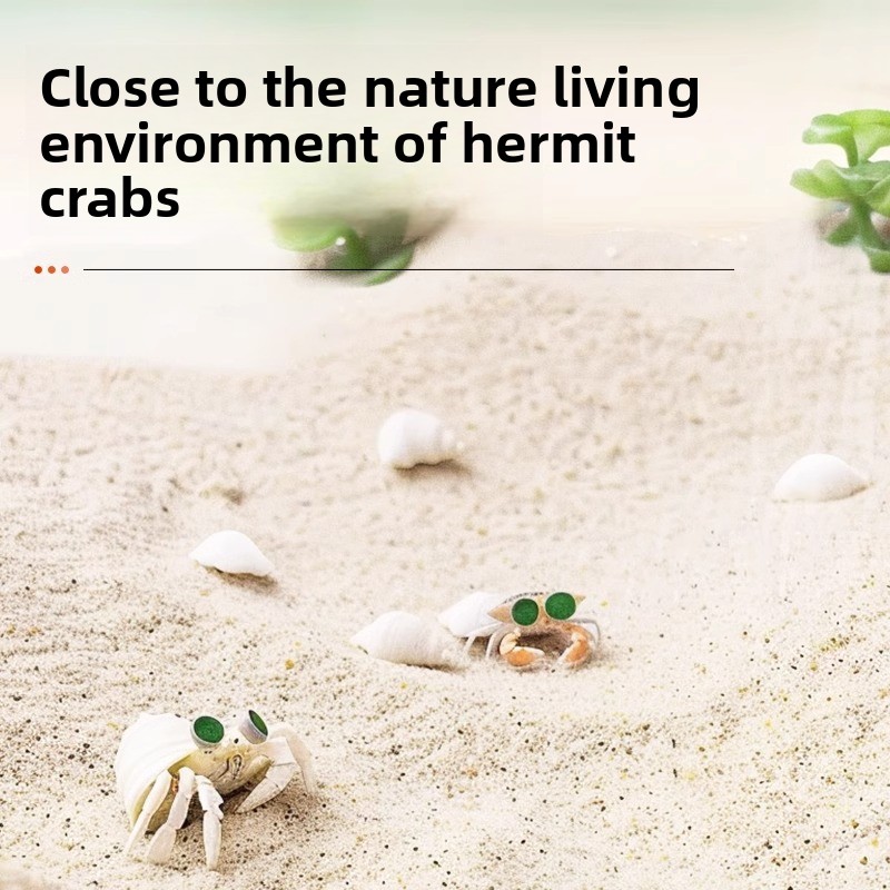 FKSC Hermit Crab Sand & Aquari - Aquarium Sand White recension och pris
