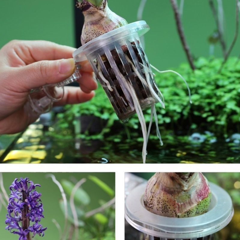 Aquariums Plant Stand Plant Cu - Emersed Plants Aquarium recension och pris