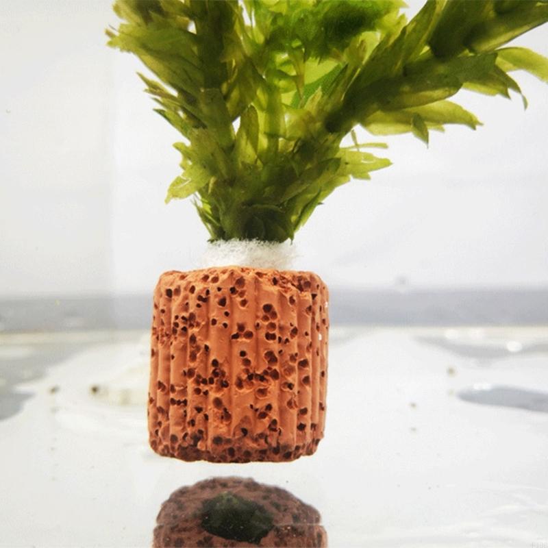F19B Paottery Aquariums Plant  - Emersed Plants Aquarium recension och pris
