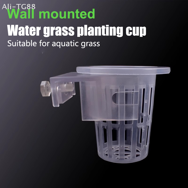Hanging Aquarium Plant Holder  - Emersed Plants Aquarium recension och pris